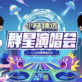 小杨臻选群星演唱会海报