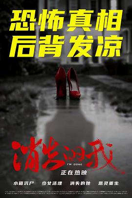 消失的我海报